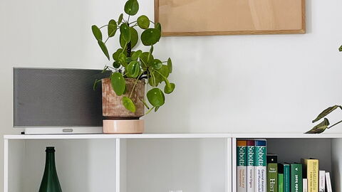 Østerbro - 2 Br - 4 People - Close To Metro: soveværelse