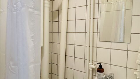 Amagerbro - 1 Br - 2 People - Close To Metro: Badeværelse