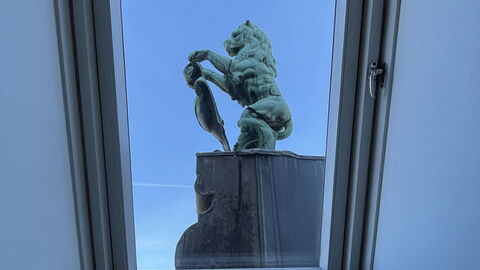 Vester Voldgade - Elegant 1 Bedroom Near Strøget: Visninger, Værelsesoplysninger