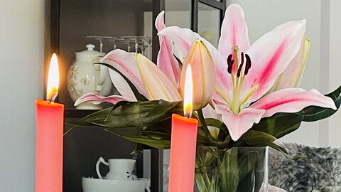 Frederiksberg - Perfect For Family: Værelsesoplysninger