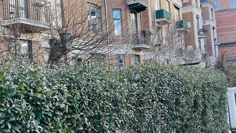 Frederiksberg - Perfect For Family: Udendørs, Udvendige