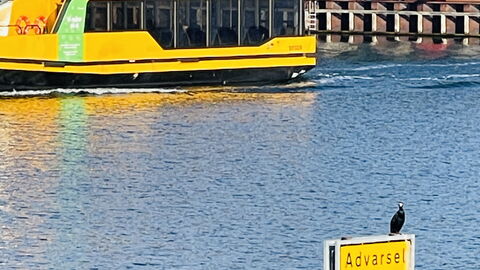 Sydhavnen - Best View - 1 Br - 2 People: Udendørs