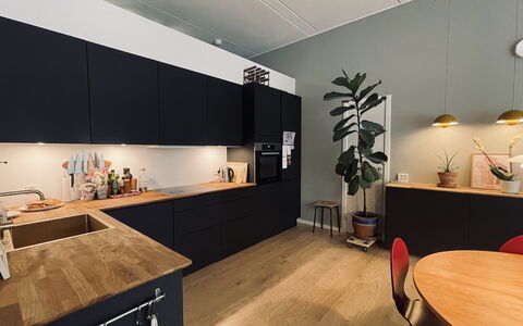 Carlsbergbyen - Vesterbro - 2 Br - 3 People: Køkken