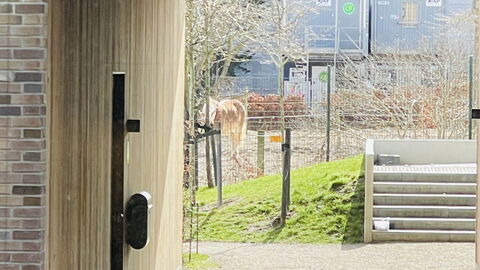 Carlsbergbyen - Vesterbro - 2 Br - 3 People: Udendørs, Udvendige