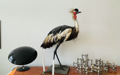 Center - Close To The Parlament - Tivoli - 3 Br: Værelsesoplysninger