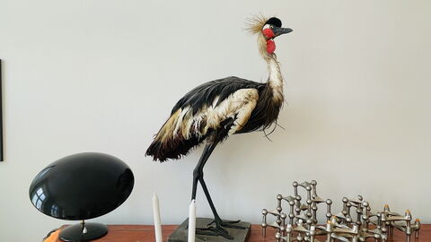 Center - Close To The Parlament - Tivoli - 3 Br: Værelsesoplysninger