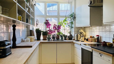 Center - Close To The Parlament - Tivoli - 3 Br: Køkken