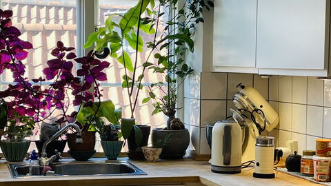 Center - Close To The Parlament - Tivoli - 3 Br: Køkken