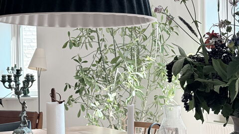 Frederiksberg - Close To Tivoli - 4 Br - 6 People: Andet værelse, Frokostlokale, Køkken, Stue