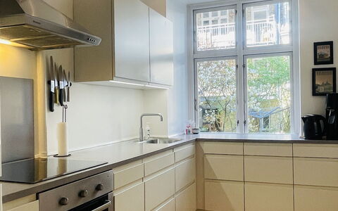 Østerbro - 2 Br - 3 People - Close Metro: Køkken