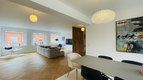 Close to Tivoli Garden -3 Br - 6 People -City Center: Stue