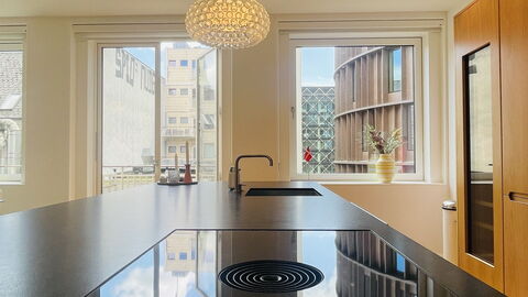 Close to Tivoli Garden -3 Br - 6 People -City Center: Køkken