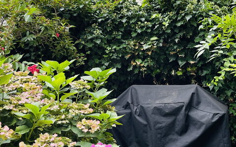 Hellerup - Close To Train - 2 Levels - 6 People: Udendørs, Udvendige