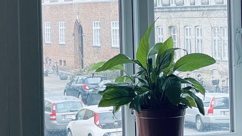 Frederiksberg - 3 Br - 6 People - Close To Metro