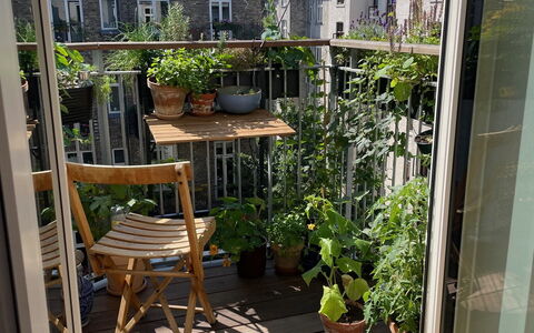 Østerbro - 1 Br - 2 People - Close To Metro: Altan / terrasse / gårdhave, Udendørs, Udvendige
