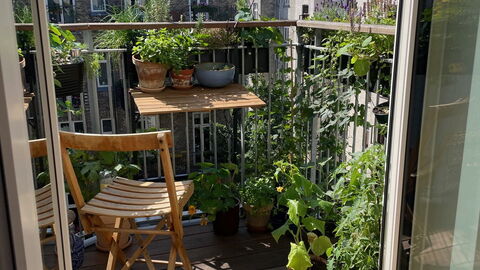 Østerbro - 1 Br - 2 People - Close To Metro: Altan / terrasse / gårdhave, Udendørs, Udvendige