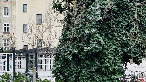 Østerbro - 4 People-1 Br - Close To Metro: Udendørs, Udvendige