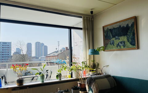 Frederiksberg - 2 Br - 4 People - Perfect Family: Visninger