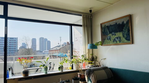 Frederiksberg - 2 Br - 4 People - Perfect Family: Visninger