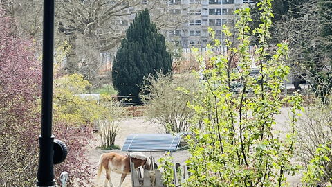 Carlsbergcity - 3br - 4 To 5 People - Family: Udendørs, Visninger