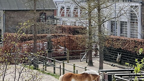 Carlsbergcity - 3br - 4 To 5 People - Family: Udendørs, Visninger