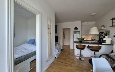 Vesterbro - 3 People - 1br - Close To Tivoli: Stue