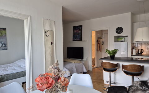 Vesterbro - 3 People - 1br - Close To Tivoli: Køkken