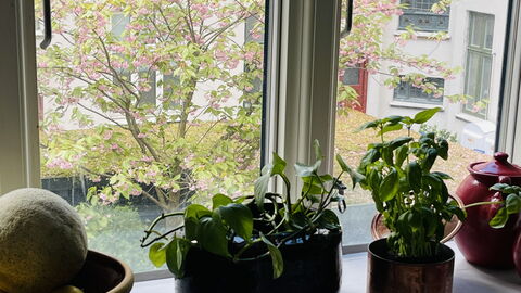 Islands Brygge - 2 Br -3 People -close To Habour: Køkken