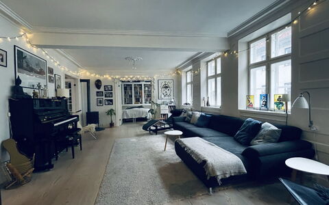 Fiolstræde - Family House On The Pedestrian Street: Stue