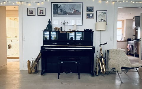 Fiolstræde - Family House On The Pedestrian Street: Stue