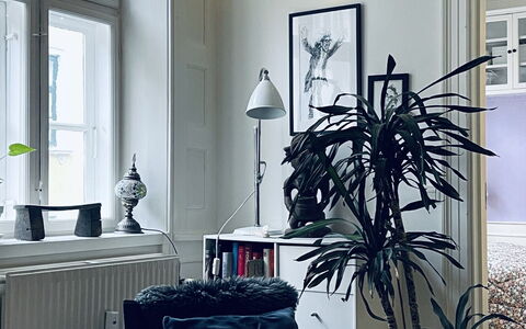 Fiolstræde - Family House On The Pedestrian Street: Stue