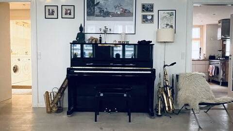 Fiolstræde - Family House On The Pedestrian Street: Stue