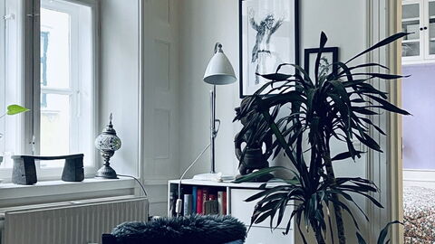 Fiolstræde - Family House On The Pedestrian Street: Stue