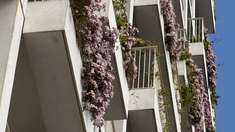 Islands Brygge Waterfront - 6 People - 3 Br - Balc: Udvendige