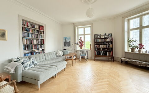 Close To Tivoli - 4 Br - 8 People - Huge Apartment: Stue