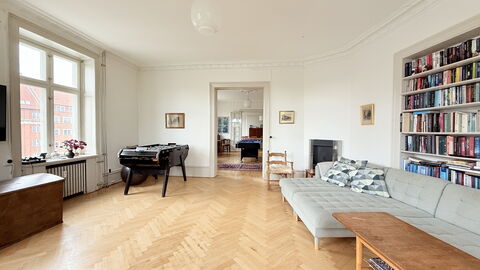 Close To Tivoli - 4 Br - 8 People - Huge Apartment: Andet værelse, Frokostlokale, Stue