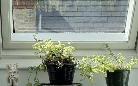 Østerbro - 2 People - 1 Br - 2 Beds - Loft: Køkken