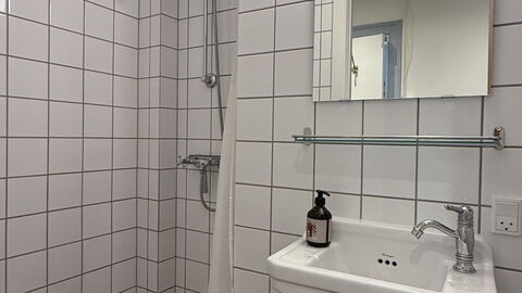 Nørrebro - Cozy Area - 2 People -1 Br: Badeværelse