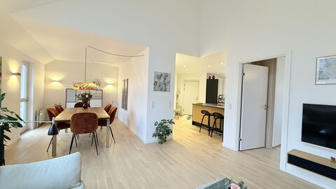 Frederiksberg - Parking - 1 Bedroom - 2 People: Frokostlokale, Stue