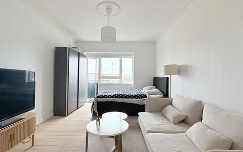 Nørrebro - Studio - 2 People - 2 Balcony: soveværelse, Stue