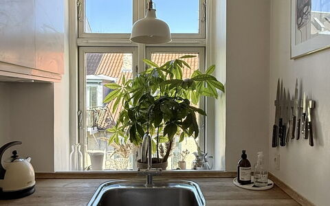 Close to Tivoli - 2 Br - 3 People: Køkken