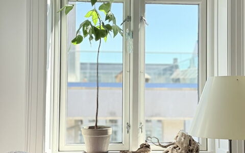 Close to Tivoli - 2 Br - 3 People: Værelsesoplysninger