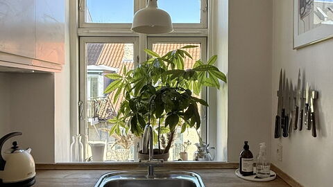 Close to Tivoli - 2 Br - 3 People: Køkken