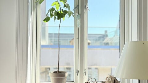 Close to Tivoli - 2 Br - 3 People: Værelsesoplysninger