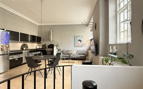 Hellerup - 1 Br - 2 People - Close to Train: Frokostlokale, Køkken, Stue