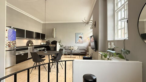 Hellerup - 1 Br - 2 People - Close to Train: Frokostlokale, Køkken, Stue