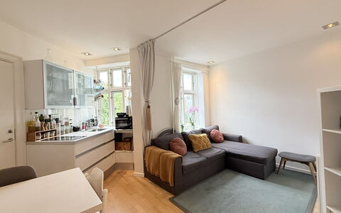 Nørrebro - 1 Br - 3 People - Close Metro: Køkken, Stue