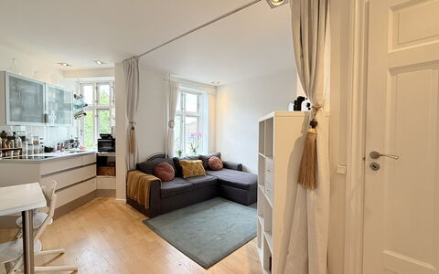 Nørrebro - 1 Br - 3 People - Close Metro: Stue