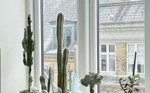 Vesterbro - 2 People - Loft Apartment: Stue