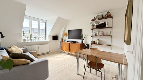 Vesterbro - 2 People - Loft Apartment: Stue